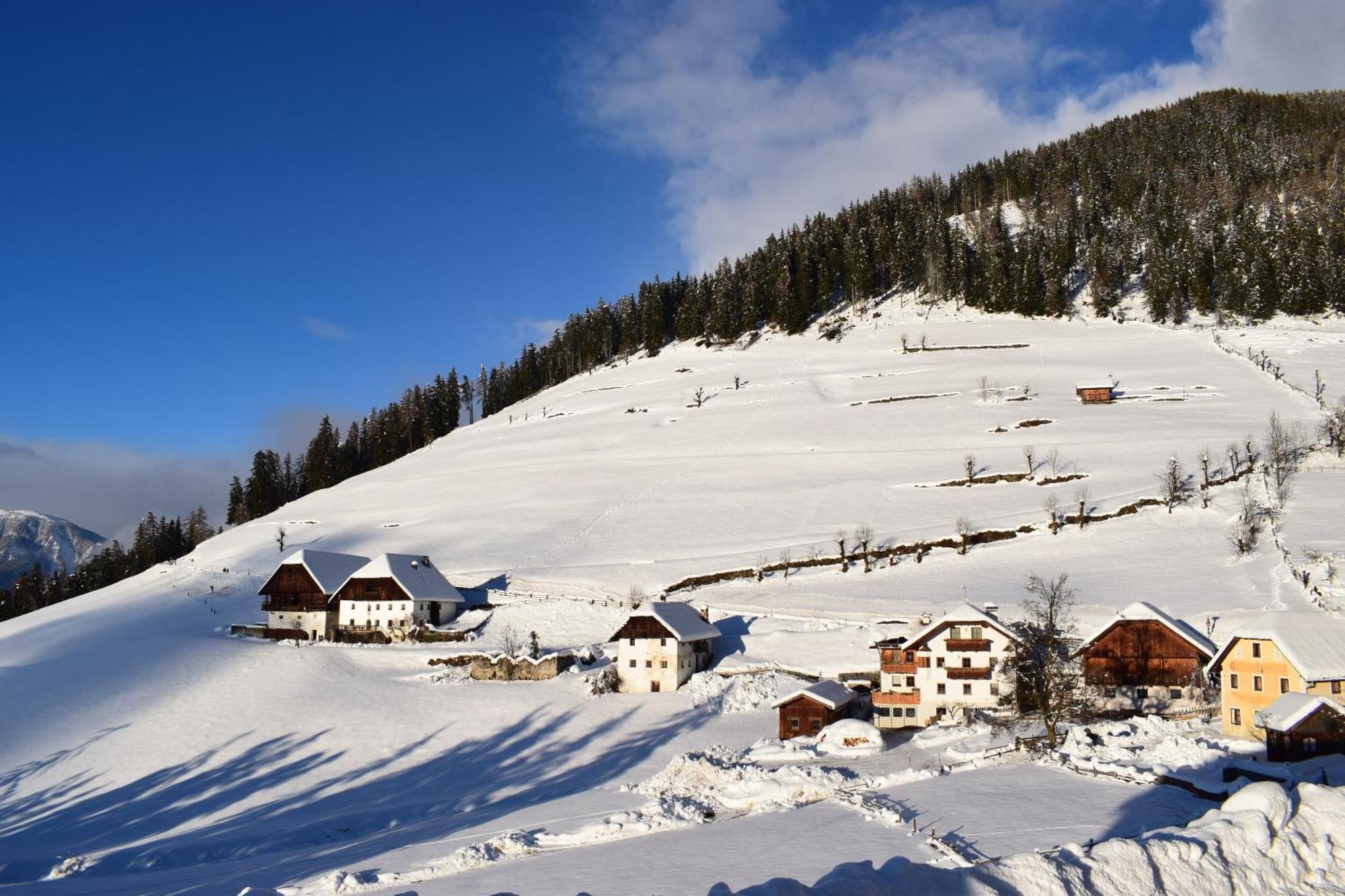 Naturhotel Miraval Perca Exteriér fotografie